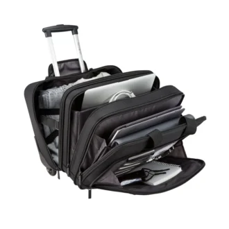 Classic business 2.0 wheeled business case