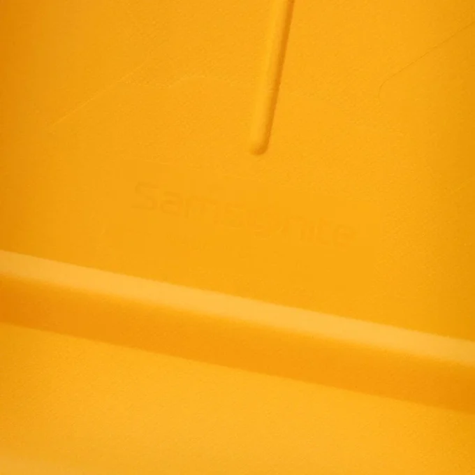 Essens carry-on spinner