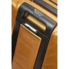 Proxis global carry-on spinner