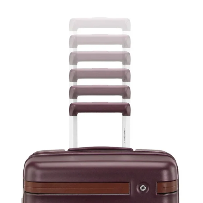 Virtuosa carry-on spinner