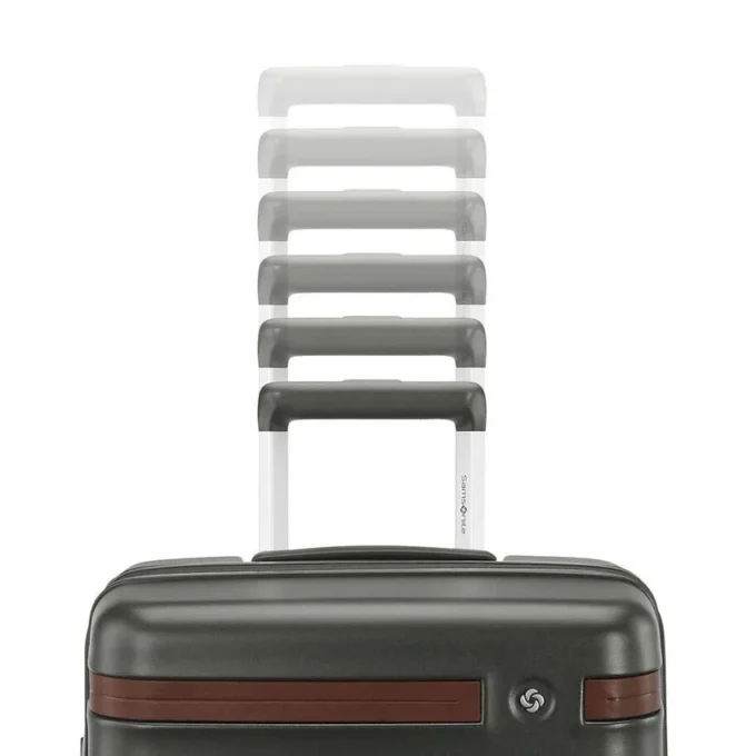 Virtuosa carry-on spinner